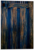 Forex - Bruin/Blauwe Oude Deur - 40x60cm Foto op Forex