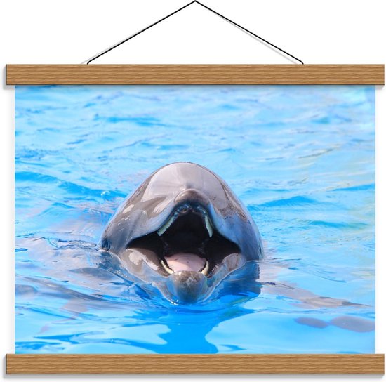Schoolplaat – Foto van een Blije Dolfijn in Blauw Water - 40x30cm Foto op Textielposter (Wanddecoratie op Schoolplaat)
