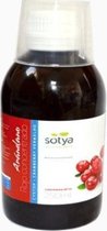 Sotya Arandano Rojo Concentrado 250ml