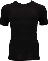 Apollo T-shirts V-neck Heren Viscose Zwart 2 Stuks Maat L