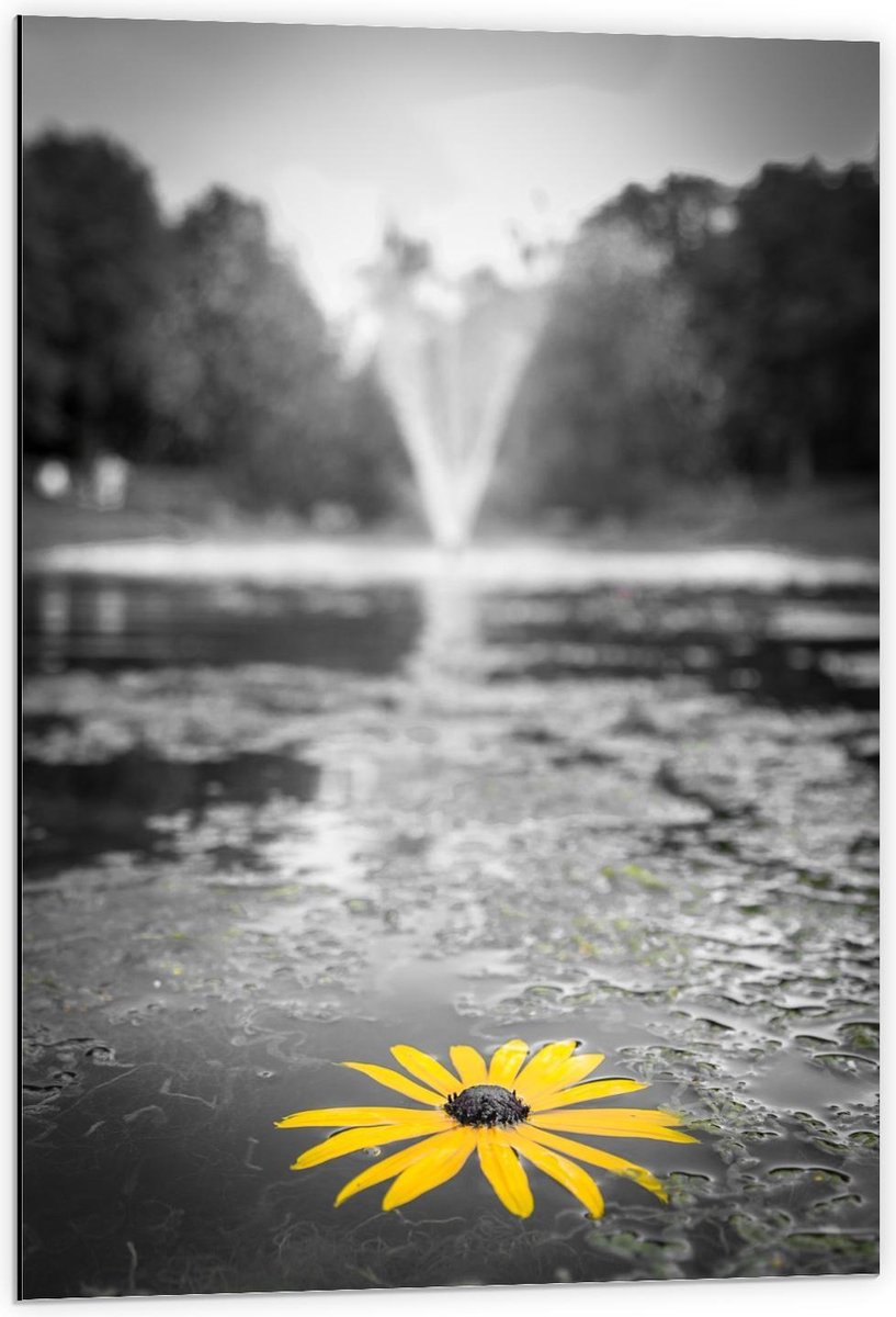 Dibond - Gele Bloem in het Water bij Fontein - 60x90cm Foto op Aluminium (Met Ophangsystee