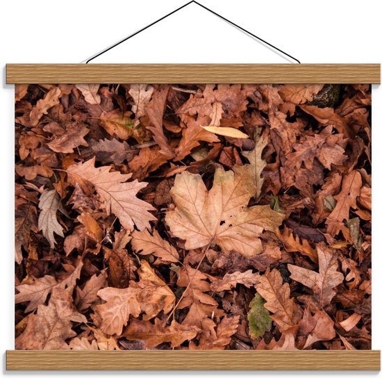 Schoolplaat – Verschillende Herfstbladeren - 40x30cm Foto op Textielposter (Wanddecoratie op Schoolplaat)