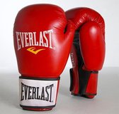 Everlast - Moulded Foam Training Glove Leather (Red) 8oz