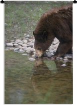 Wandkleed Drinkende beren - Bruine beer drinkt water uit een rivier Wandkleed katoen 60x90 cm - Wandtapijt met foto
