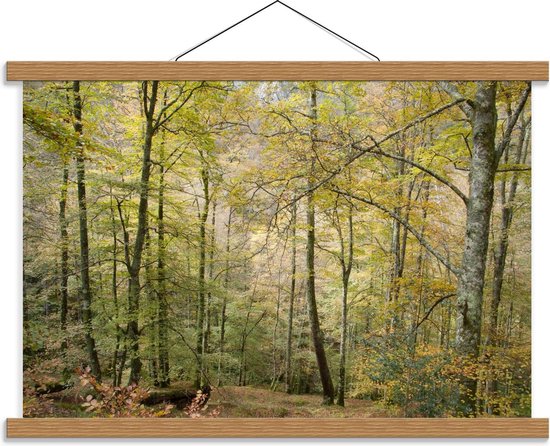 Schoolplaat – Bos vol met Bomen  - 60x40cm Foto op Textielposter (Wanddecoratie op Schoolplaat)