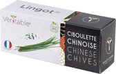 Véritable® Lingot® Organic chinese chives - BIO CHINESE BIESLOOK navulling voor alle Véritable® binnenmoestuin-toestellen