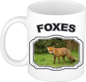 Dieren bruine vos beker - foxes/ vossen mok wit 300 ml