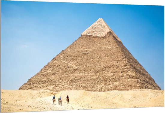 Dibond - Kamelen aan Piramide - Foto op Aluminium (Wanddecoratie van metaal)