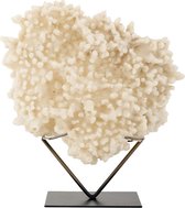 Decoratieve koraal op standaard steen/metaal (r-000SP37262)