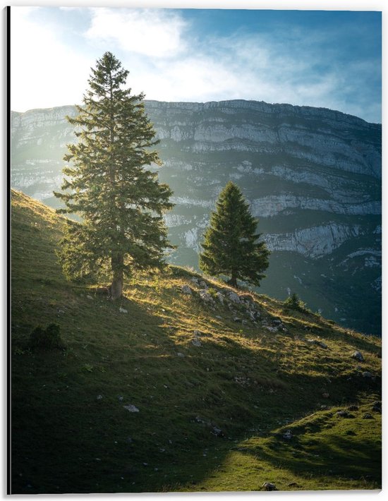 Dibond - Bergen met Bomen en Zonlicht - 30x40cm Foto op Aluminium (Wanddecoratie van metaal)