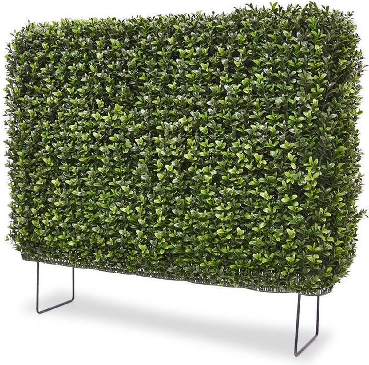 maxifleur Kunstplanten Buxus kunstheg 80x25x56cm - UV bestendig Groen