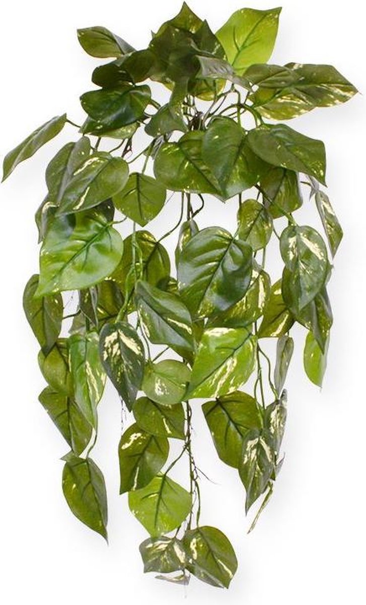 maxifleur Kunstplanten Pothos kunst hangplant deluxe 70cm - bont Groen