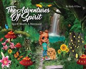 The Adventures of Spirit
