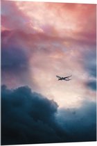 Acrylglas - Vliegtuig in Roze met Blauwe Lucht - 80x120cm Foto op Acrylglas (Wanddecoratie op Acrylglas)