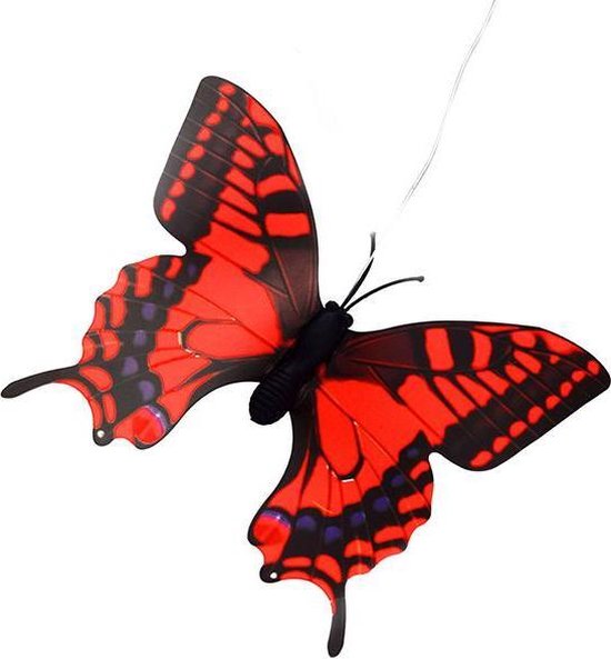 Vlinder Zon Fluttering van Vlinder Zon — afbeelding 3