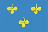 Vlag gemeente Zoeterwoude 100x150 cm