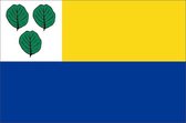 Vlag gemeente Oldebroek 70x100 cm