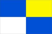 Vlag gemeente Winterswijk 70x100 cm