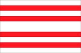 Vlag gemeente Gorinchem 100x150 cm