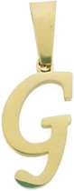 Stalen goudkleurige hanger letter g