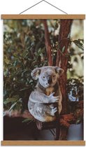 Schoolplaat – Koala in Boom - 40x60cm Foto op Textielposter (Wanddecoratie op Schoolplaat)