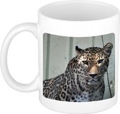 Dieren foto mok gevlekte jaguar - jaguars beker wit 300 ml