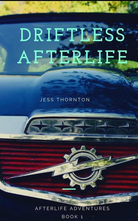 Afterlife series 1 - Driftless Afterlife - cover