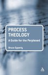Guides for the Perplexed - Process Theology: A Guide for the Perplexed