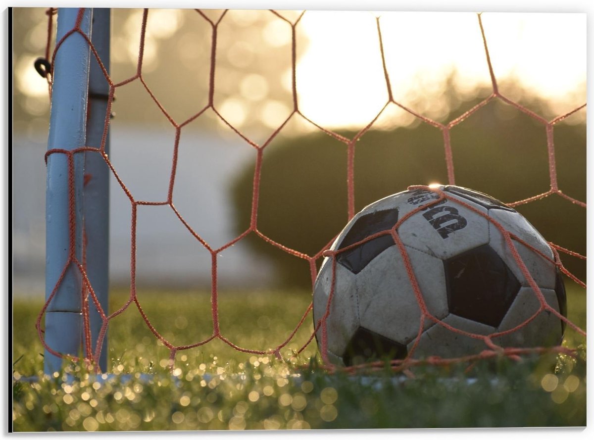 Dibond - Voetbal in de Goal - 40x30cm Foto op Aluminium (Wanddecoratie van metaal)