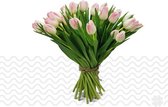 Verse bloemen boeket TULPEN (cadeau voor haar) - Roze / Wit - 10 per bos (brievenbusbloemen)