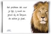 Prentbriefkaart het probleem dat voor je - Bijbel - Christelijk - Majestic Ally - 6 stuks