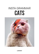 Insta grammar  -   Cats