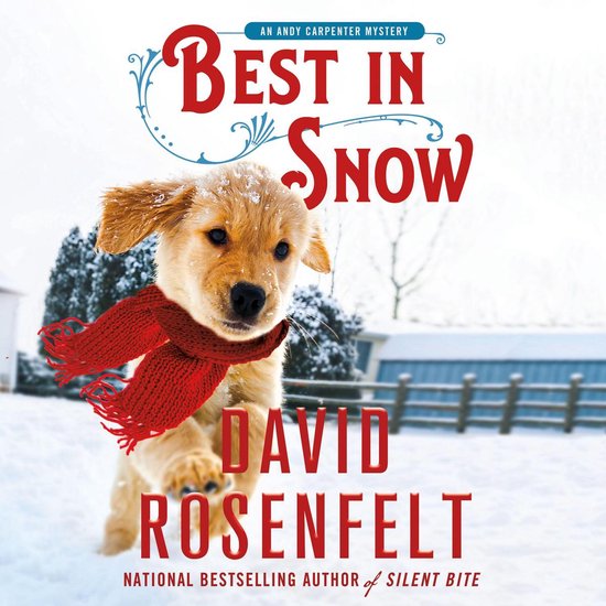 Best in Snow - cover