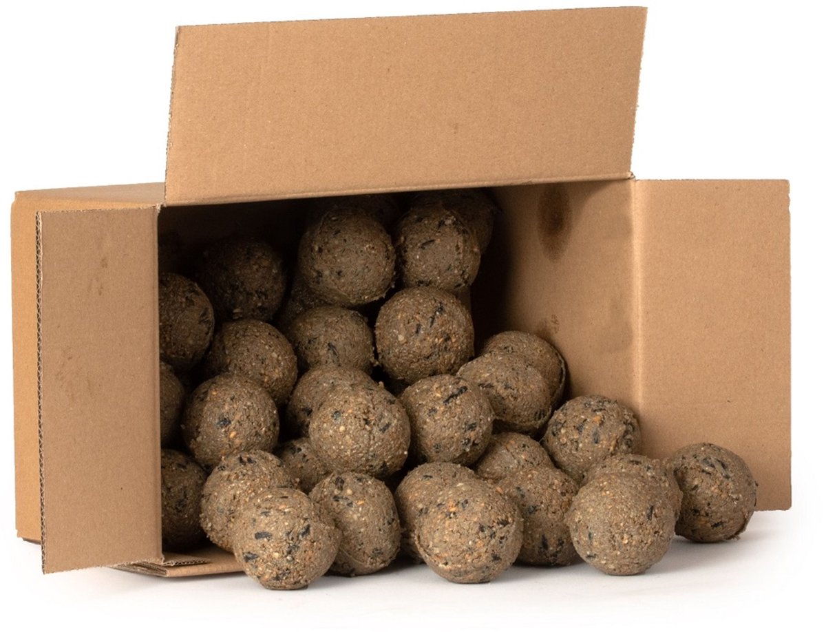 CJ Wildlife 50st Vetbollen met Insecten voor Vogels - Aanbevolen door Vogelbescherming Nederland - Mezenbollen zonder Net - 95 gram per bol - Vogelvoer Buitenvogels - Energierijk Tuinvogelvoer
