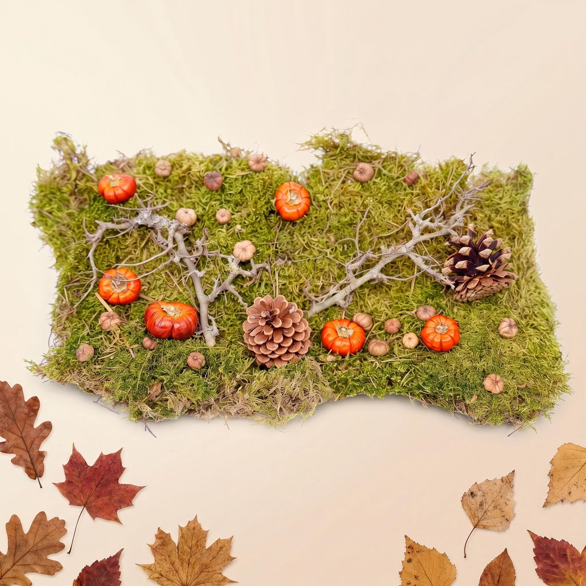 Herfst deco kit - Gedroogde pompoen, platmos, bonsaihout, dennenappels