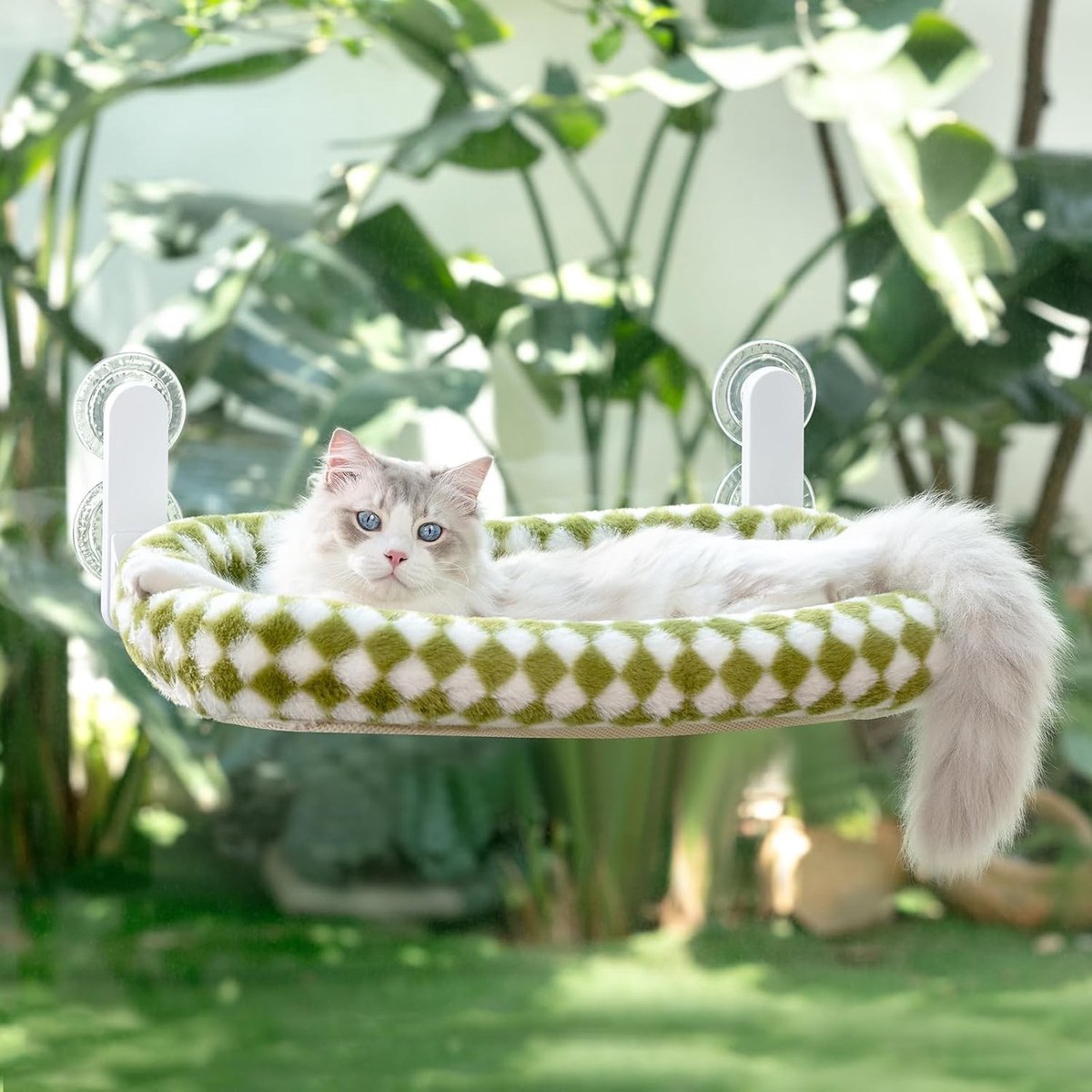 Hangmat voor Katten voor het Raam - Vouwbare Raamhouder met 4 Zuignappen en Omkeerbare Hoes - Geschikt voor Katten tot 18 kg - 54x30 cm (Groen, M)