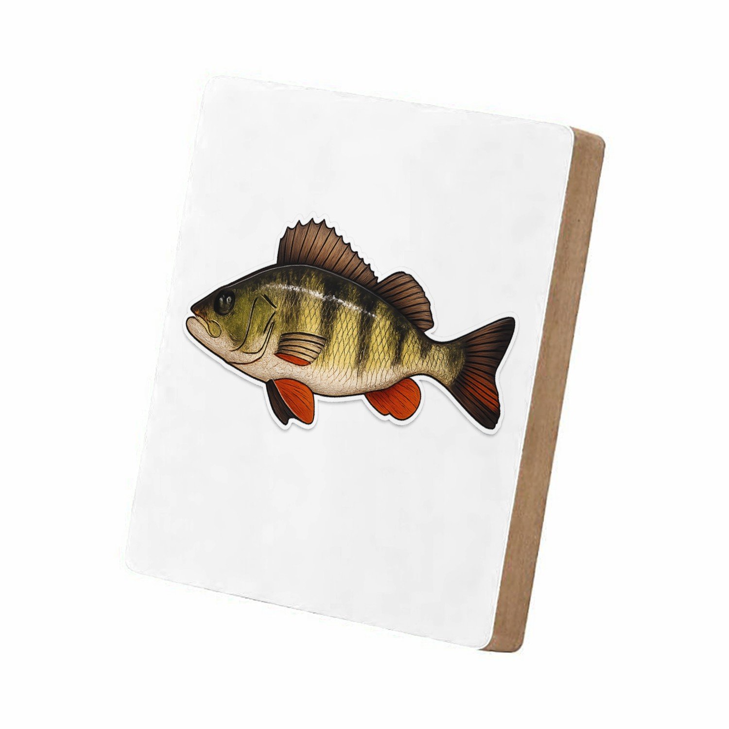 Mr Cadeautjes MDF staande fotolijst 15,2 x 15,2 - design Grafische salamander op rotsrand | cadeau Wit