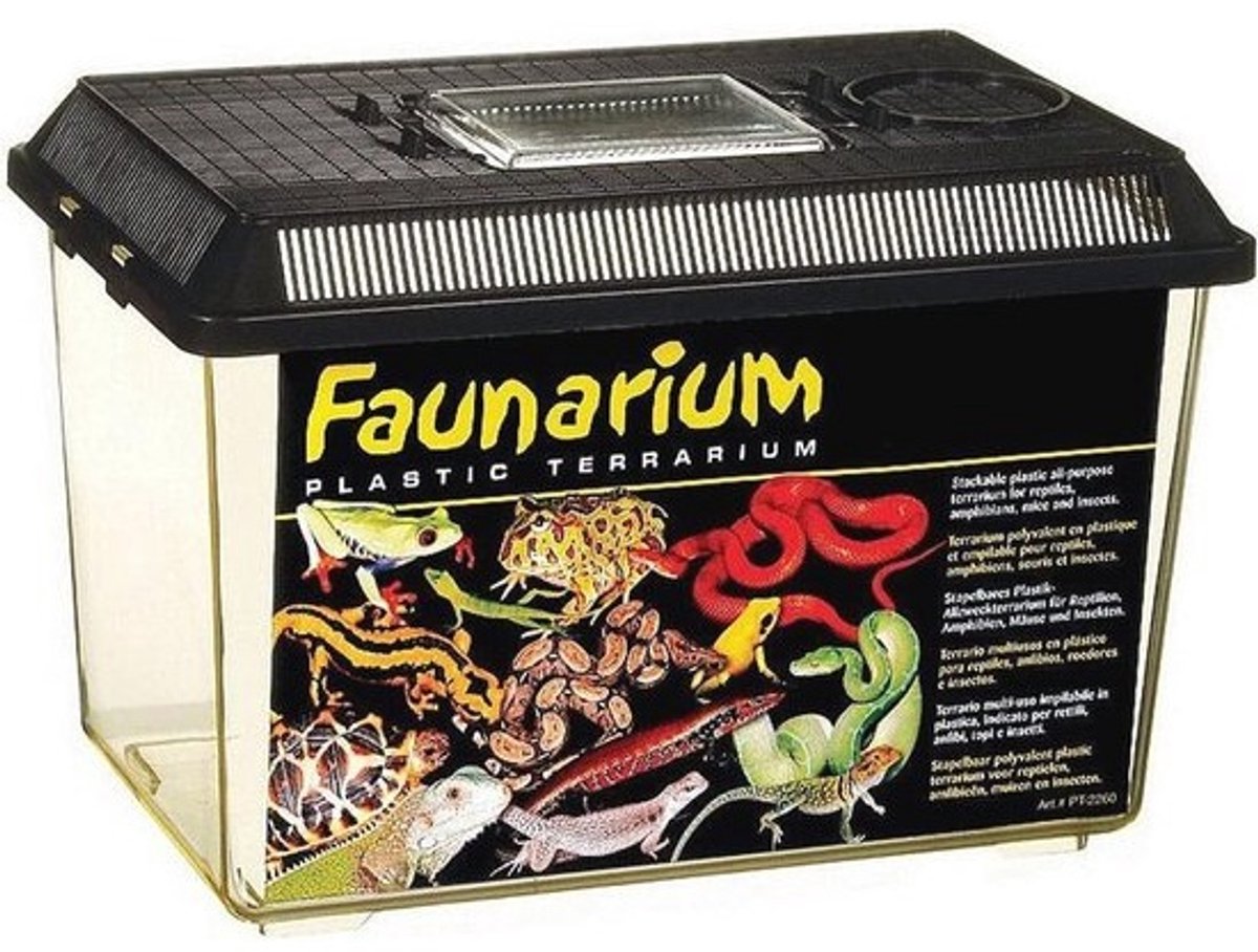 Medium Faunarium voor Terrariumdieren - Ideaal voor Transport en Quarantaine