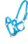 Felblauw halster met gouden gespen en clipsluiting.