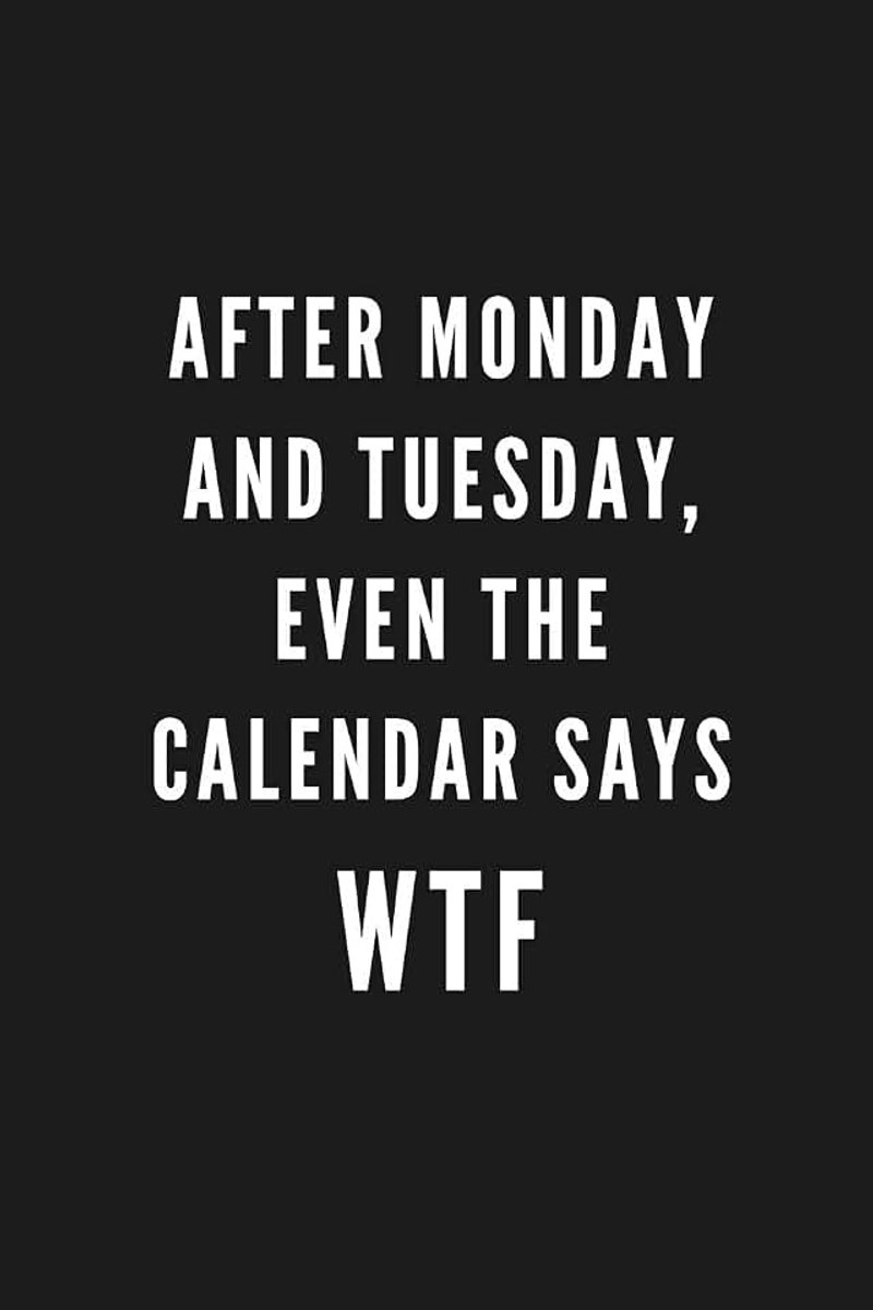 Monday And Tuesday, Even The Calendar Says WTF: Funny Gift for Coworkers & Friends | Blank Work Journal to write in with Sarcastic Office Humour Quote for Women & Men Colleagues | Adult