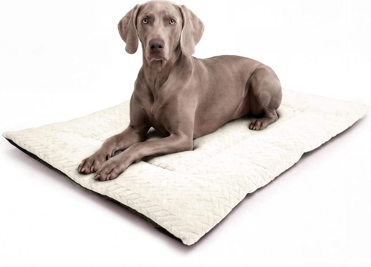 Hondenmat en kattenmat, wasbaar, antislip (beige, 70 x 100 cm)
