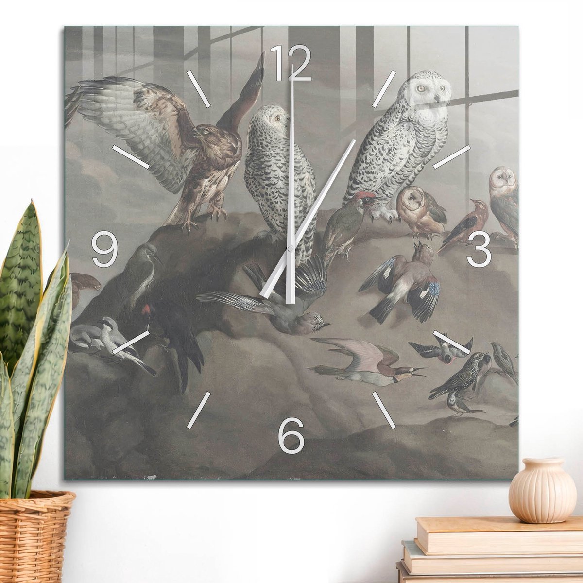 ArtPrintCave Grijs Glazen Klok - 60x60 cm - Wandklok Vierkant - Vogelspektakel Unieke Klok - Kunst Stille Wandklok - Witte Klokwijzers