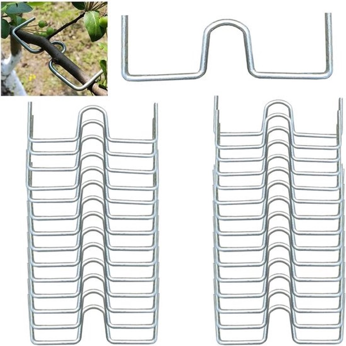 30 stuks takkenrechtzetter en spreader voor bomen - staal, M-vormig, 13 cm voor fruitbomen