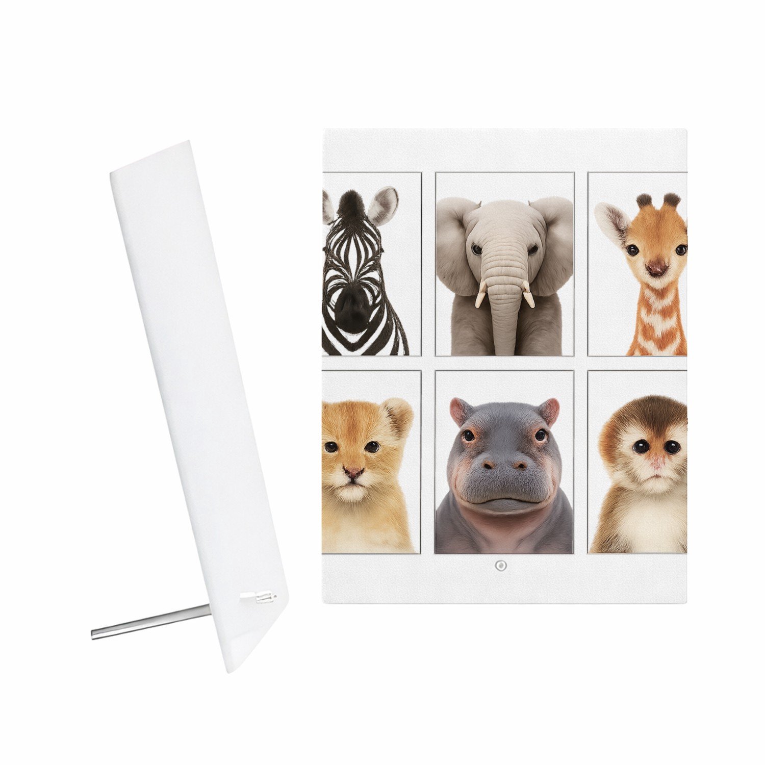 Mr Cadeautjes Glazen fotopaneel Vier rustige dierenportretten in een strak museumgrid - 15 x 20 cm, staand - glas, decoratie, wanddecoratie | cadeau Wit