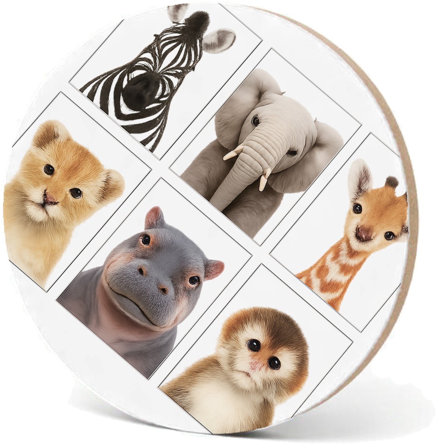 Mr Cadeautjes MDF fotolijst - design Vier rustige dierenportretten in een strak museumgrid | cadeau Wit