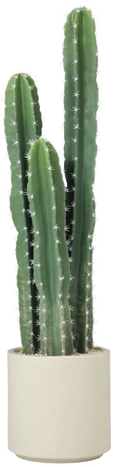 ZYLARO Kunstcactus - 95 cm - Inclusief pot - Realistisch uiterlijk - Voor huis en kantoor - Groen