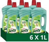 Voordeelverpakking met zes flessen Andy allesreiniger van 1 liter in een groene kartonnen doos.