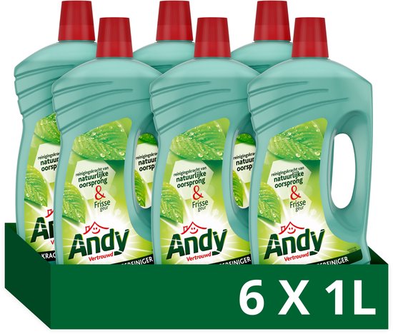 Voordeelverpakking met zes flessen Andy allesreiniger van 1 liter in een groene kartonnen doos.