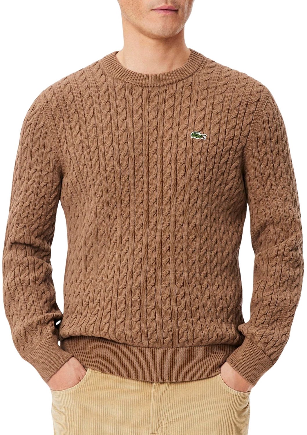 Lacoste Gebreide Sweater Heren Bruin