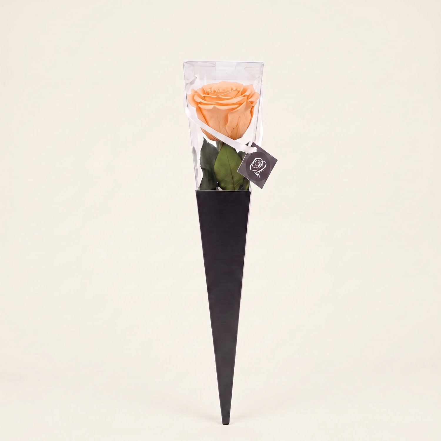 Charle Roses Icon - Echte houdbare roos met steel - 50 cm - Peach Nude perzik - in cadeauverpakking